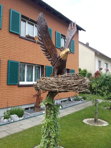 Adler im Nest