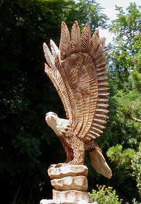 Holzadler Weisskopf Seeadler