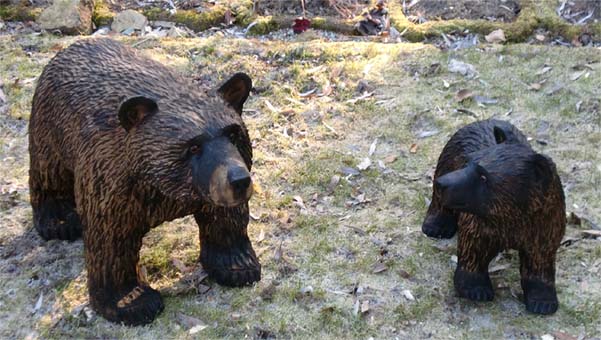 Schwarzbaer mit Baby