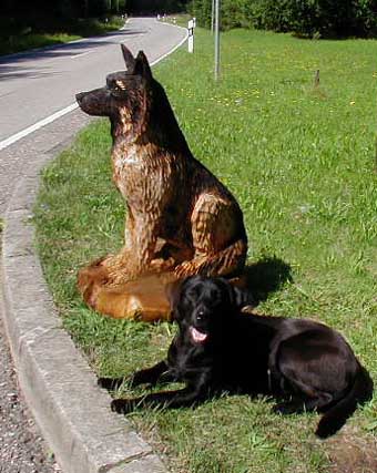 Sch�ferhund Chainsaw Carving