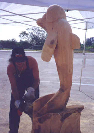 Miami Dolphin Log carving outside the arena
